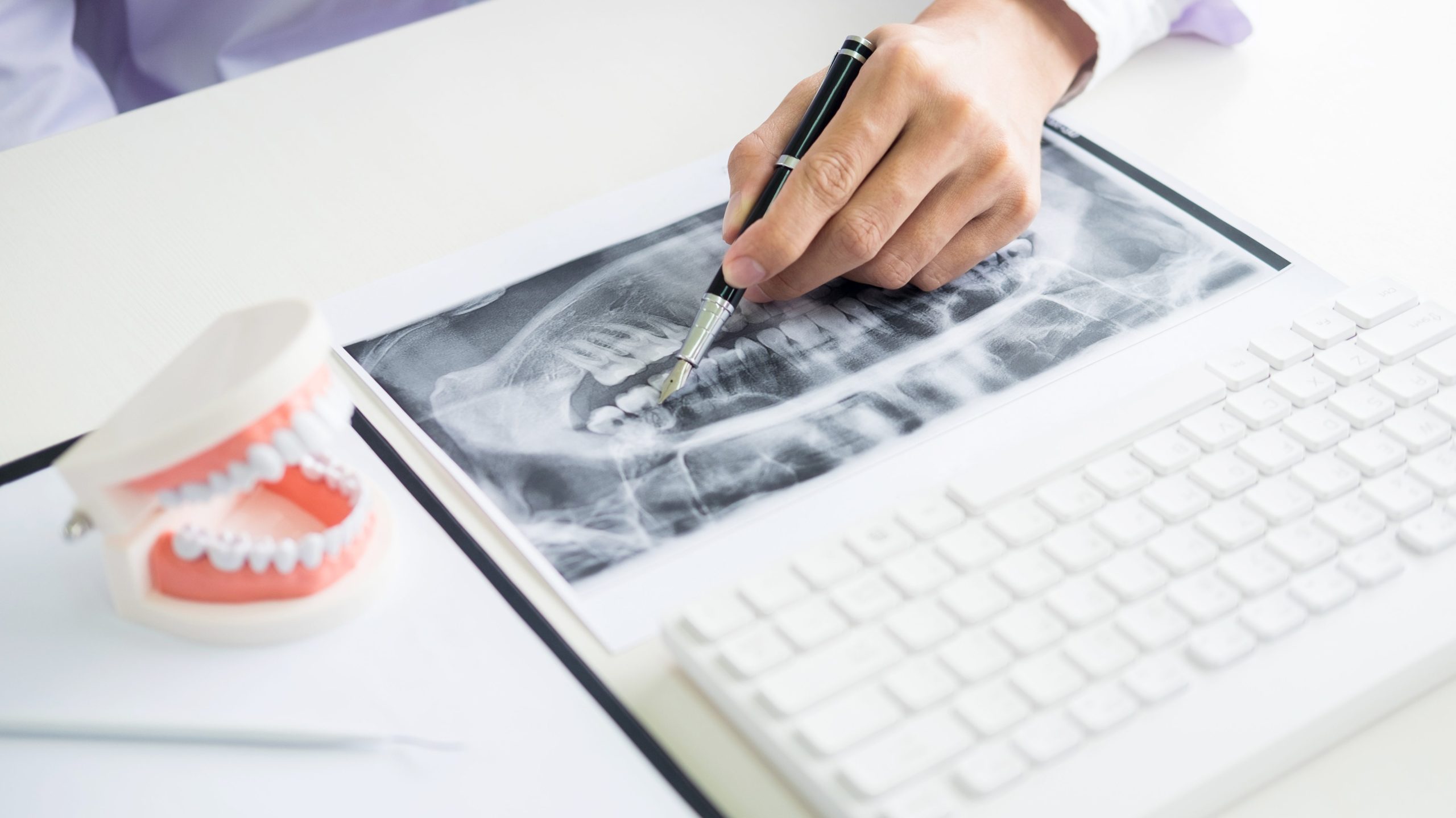 Concentrated dentist sitting at table with jaw samples tooth mod
