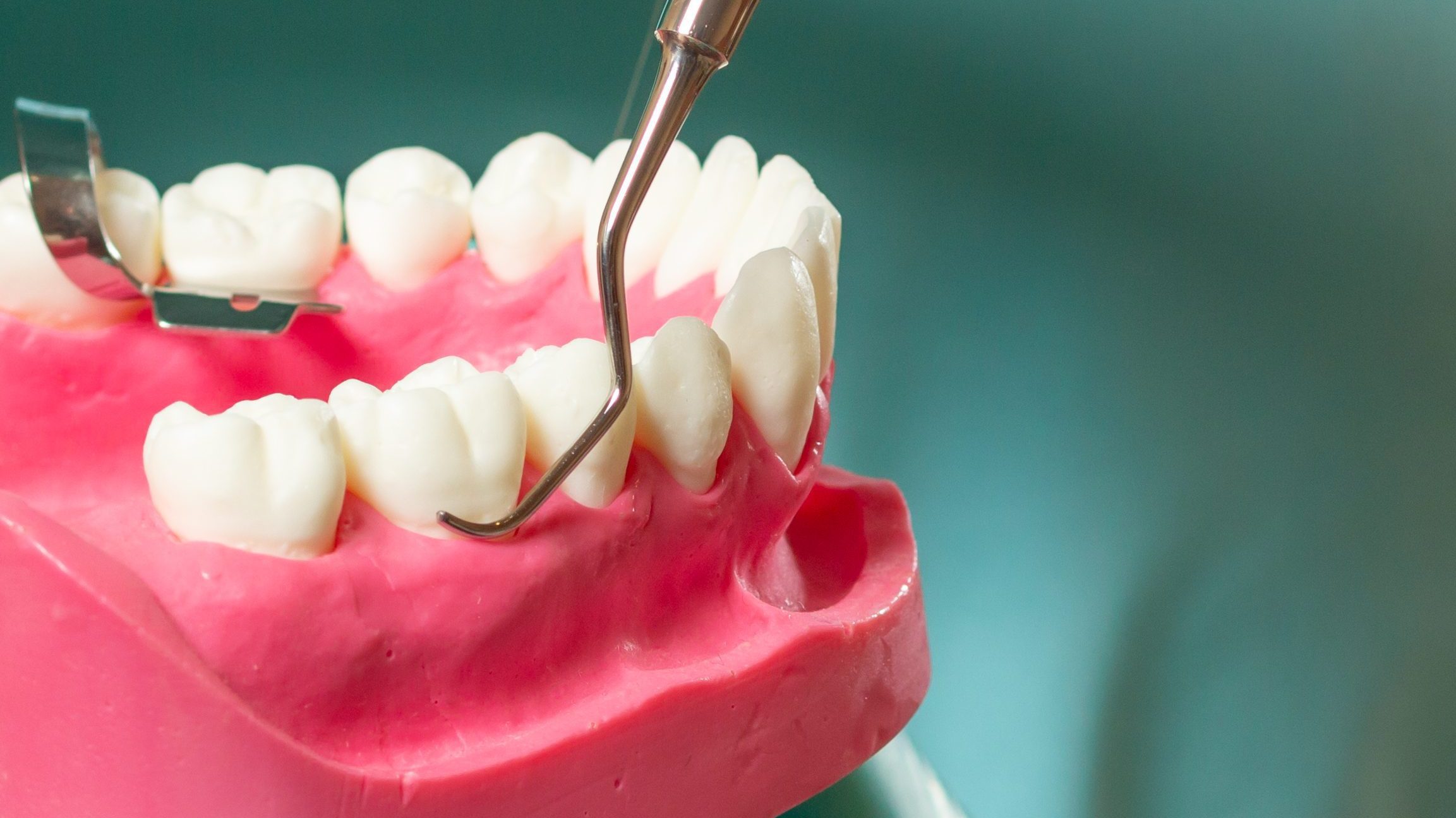 Dentist's hands with layout of the human jaw and dental instrument.